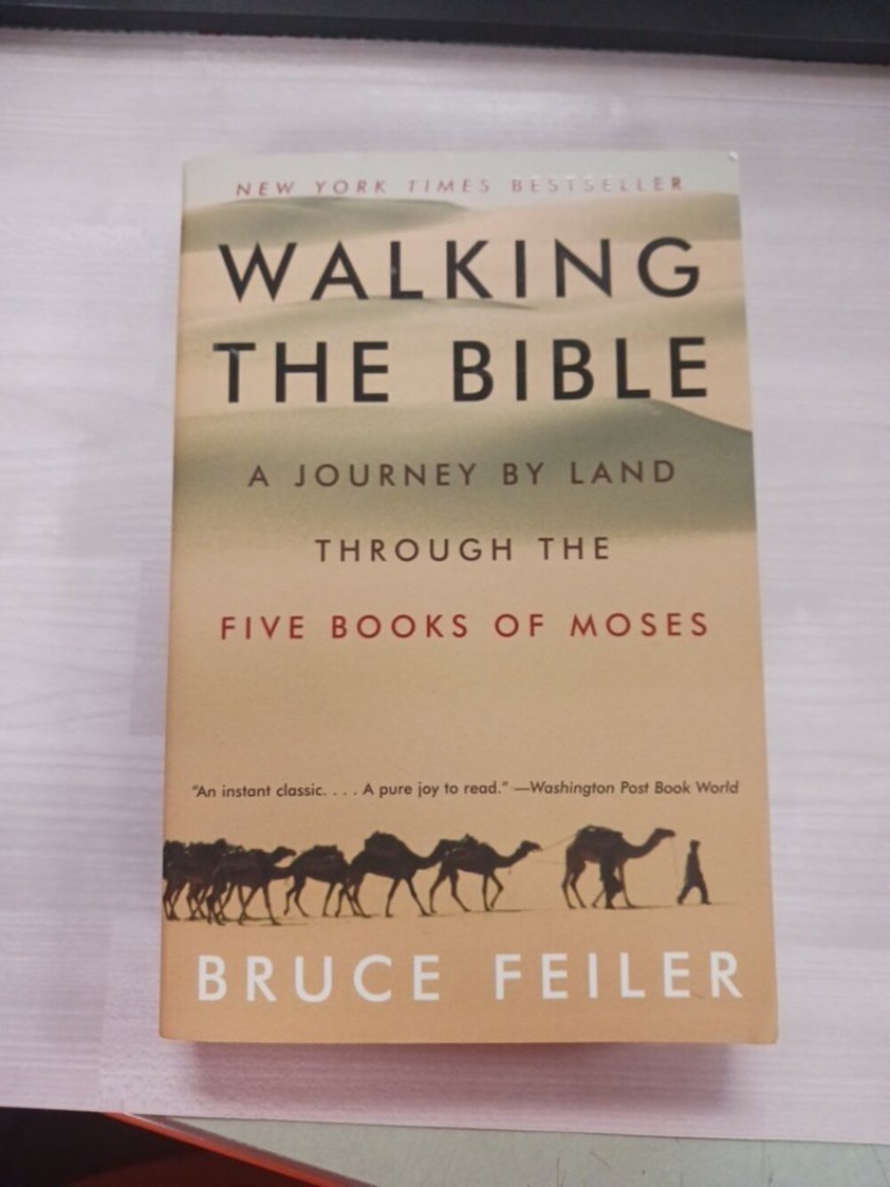 Walking the Bible : A Journey by Land Through Five Books of Moses by Bruce Feil